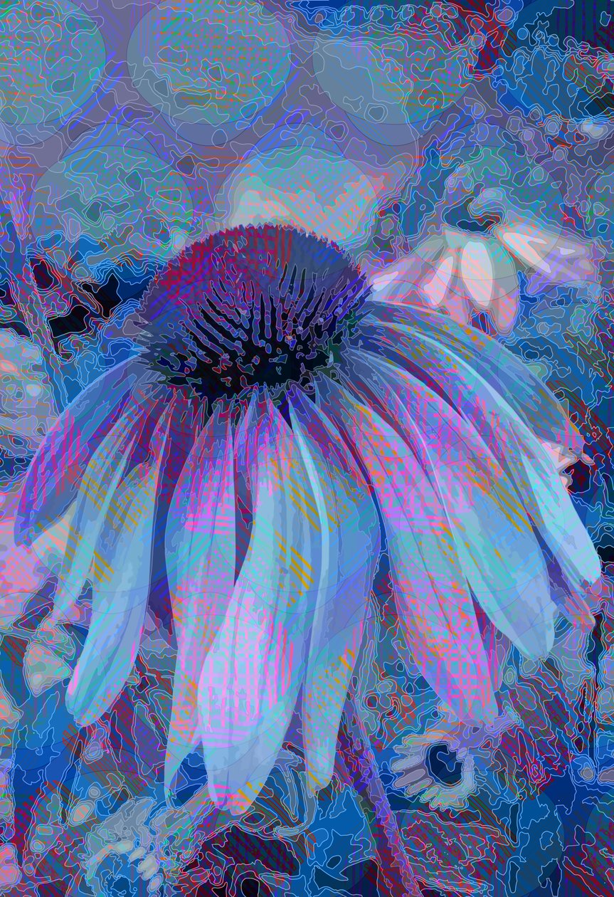 锥花 作者 斯科特·戴维斯（Scott J.Davis）