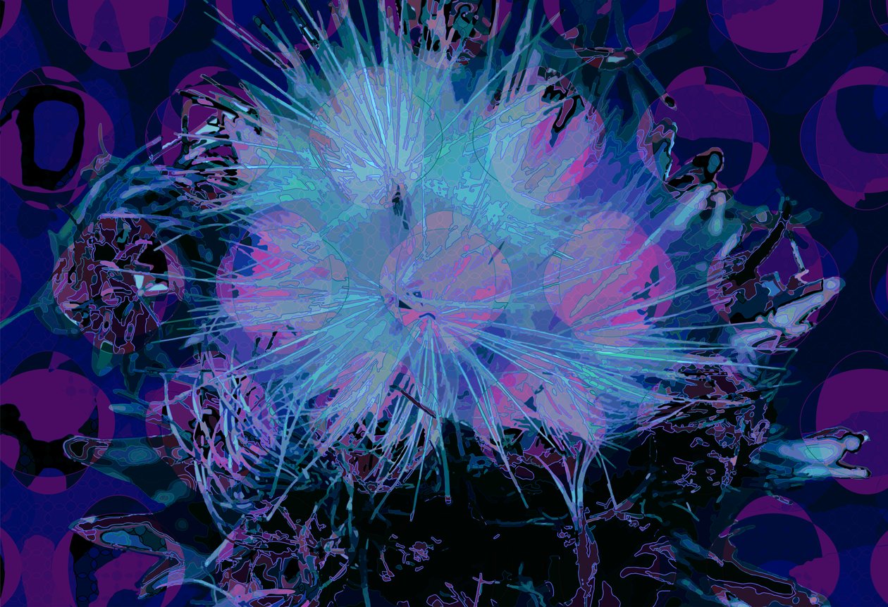 Artichoke (digital) 作者 斯科特·戴维斯（Scott J.Davis）