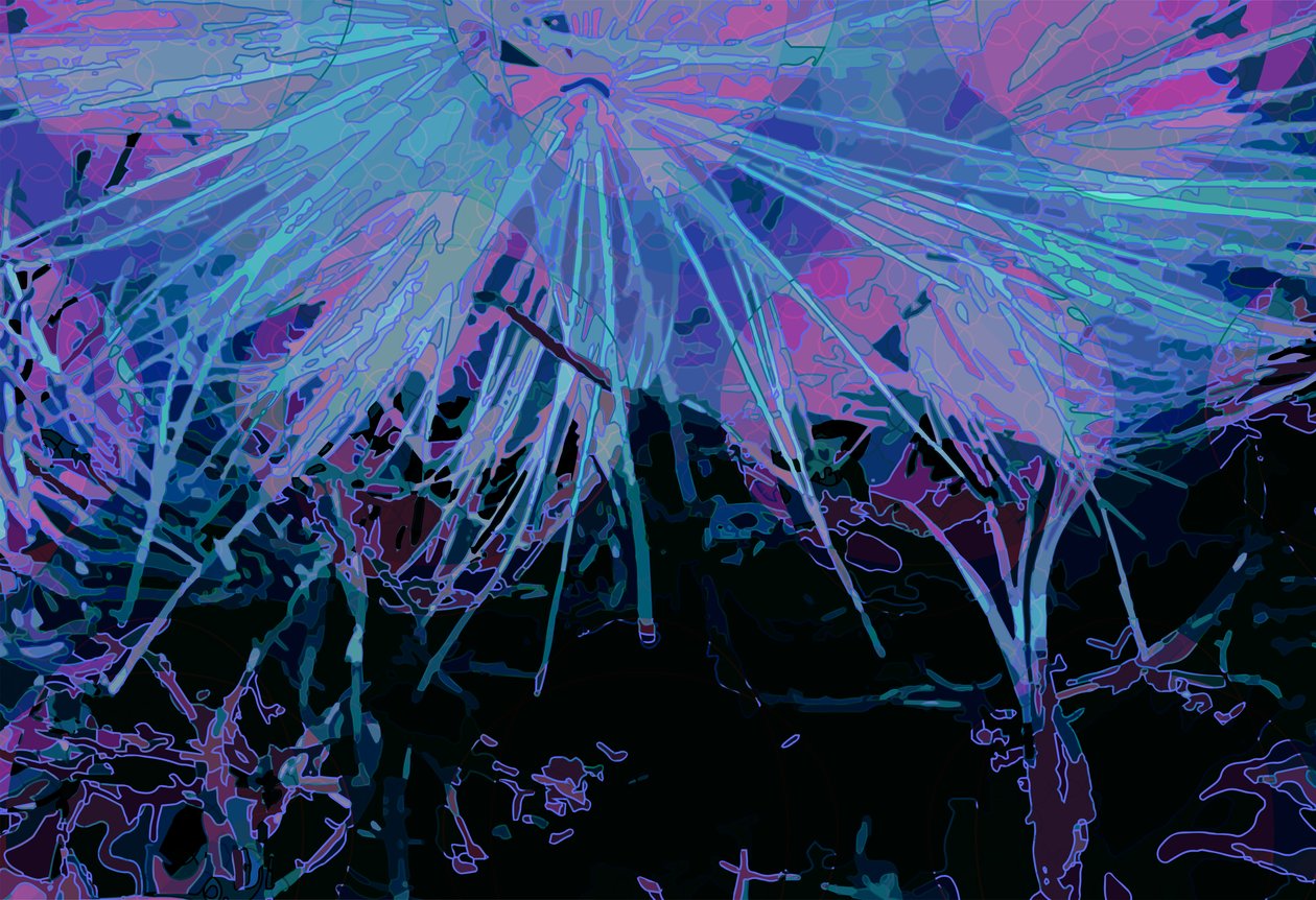 Artichoke_abst_horz1 (digital) 作者 斯科特·戴维斯（Scott J.Davis）