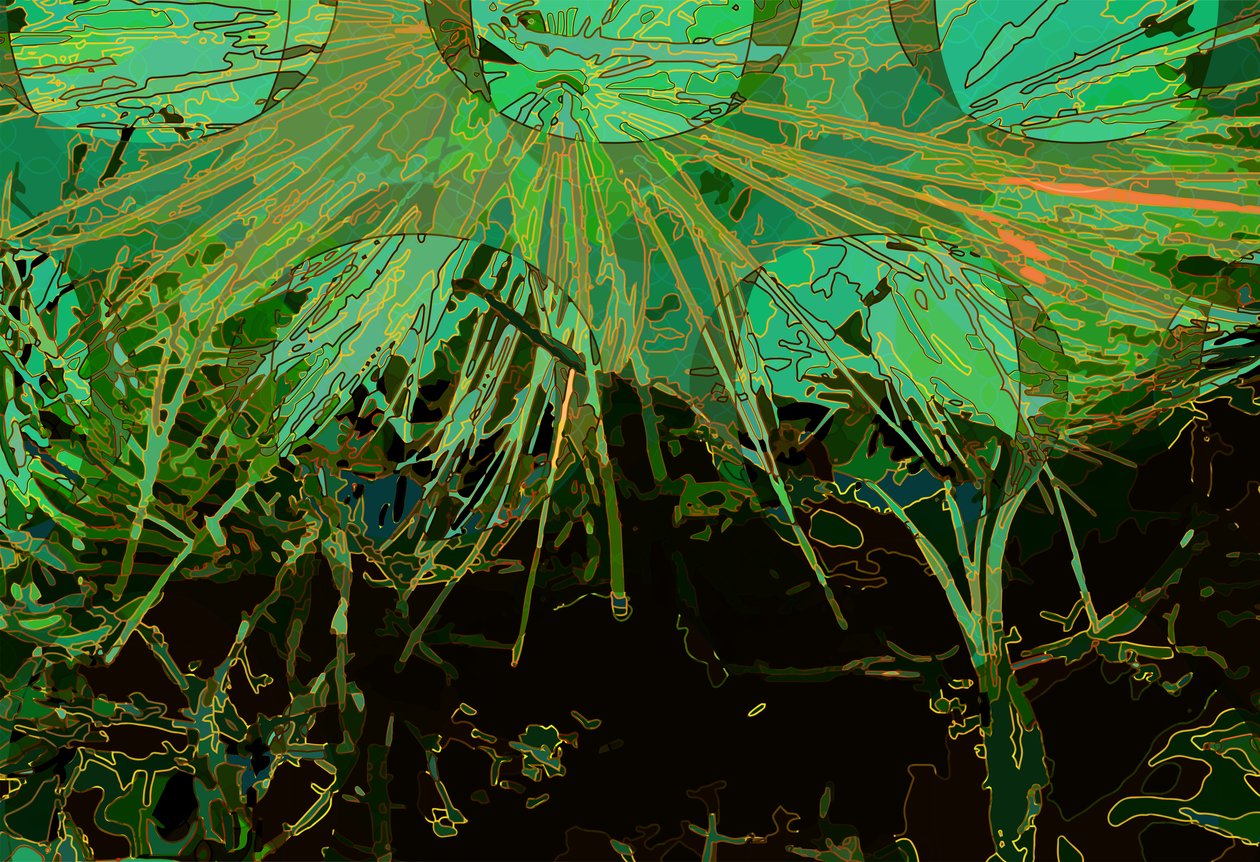 Artichoke_abst_horz2 (digital) 作者 斯科特·戴维斯（Scott J.Davis）