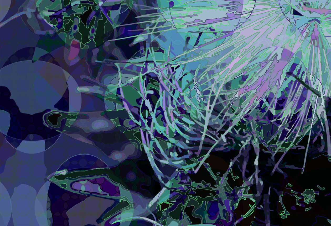 Artichoke_abst_horz4 (digital) 作者 斯科特·戴维斯（Scott J.Davis）
