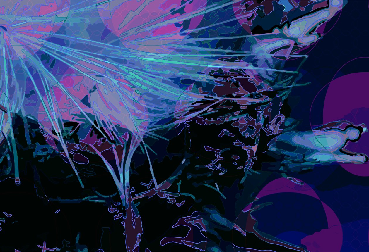 Artichoke_abst_horz5 (digital) 作者 斯科特·戴维斯（Scott J.Davis）