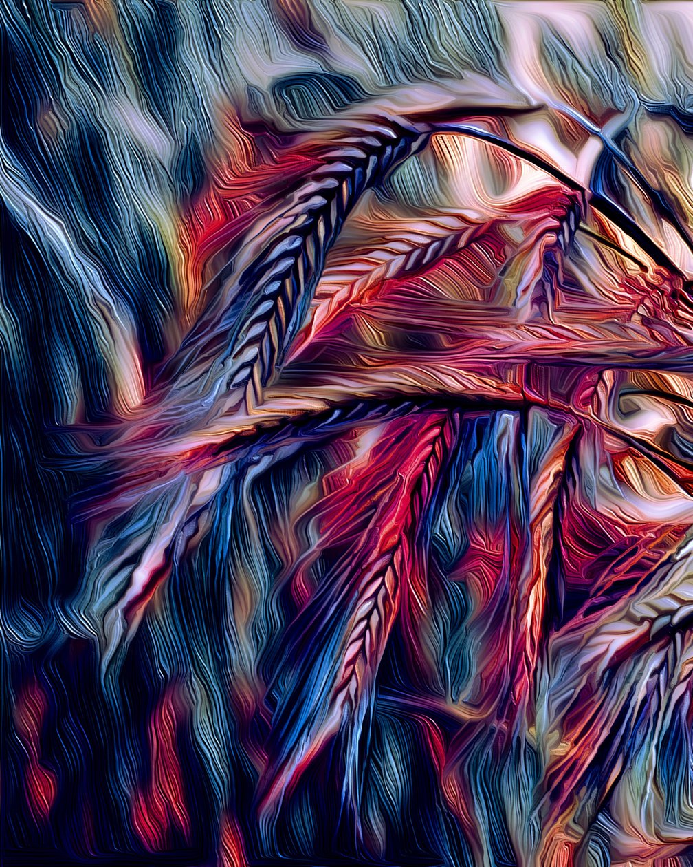 大麦，2021 年 作者 斯科特·戴维斯（Scott J.Davis）