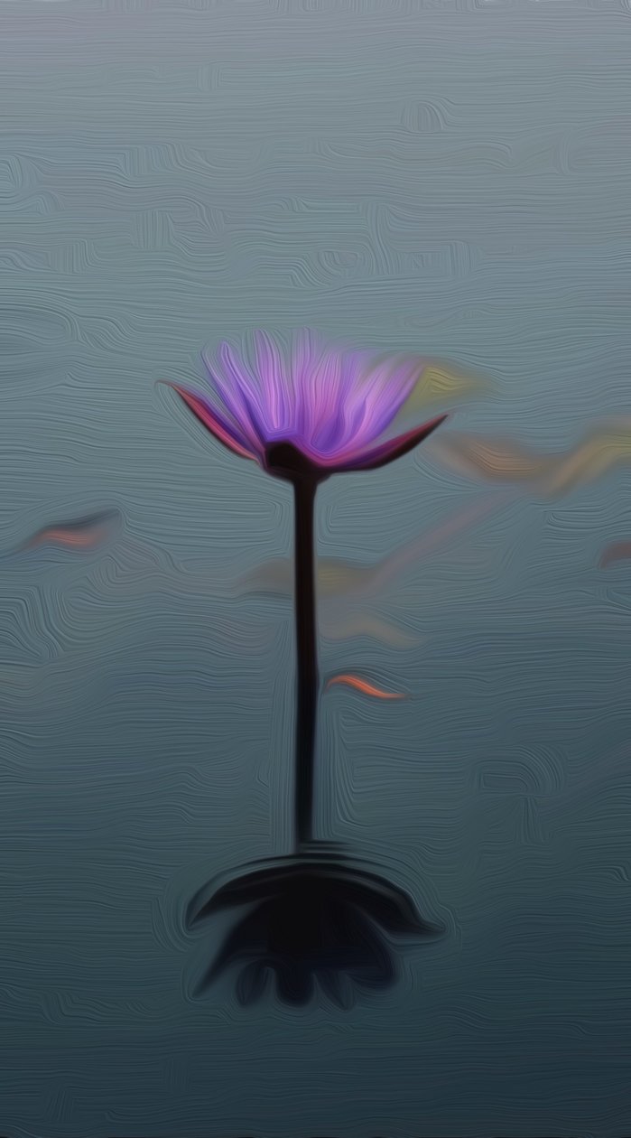 Purple lily 作者 斯科特·戴维斯（Scott J.Davis）