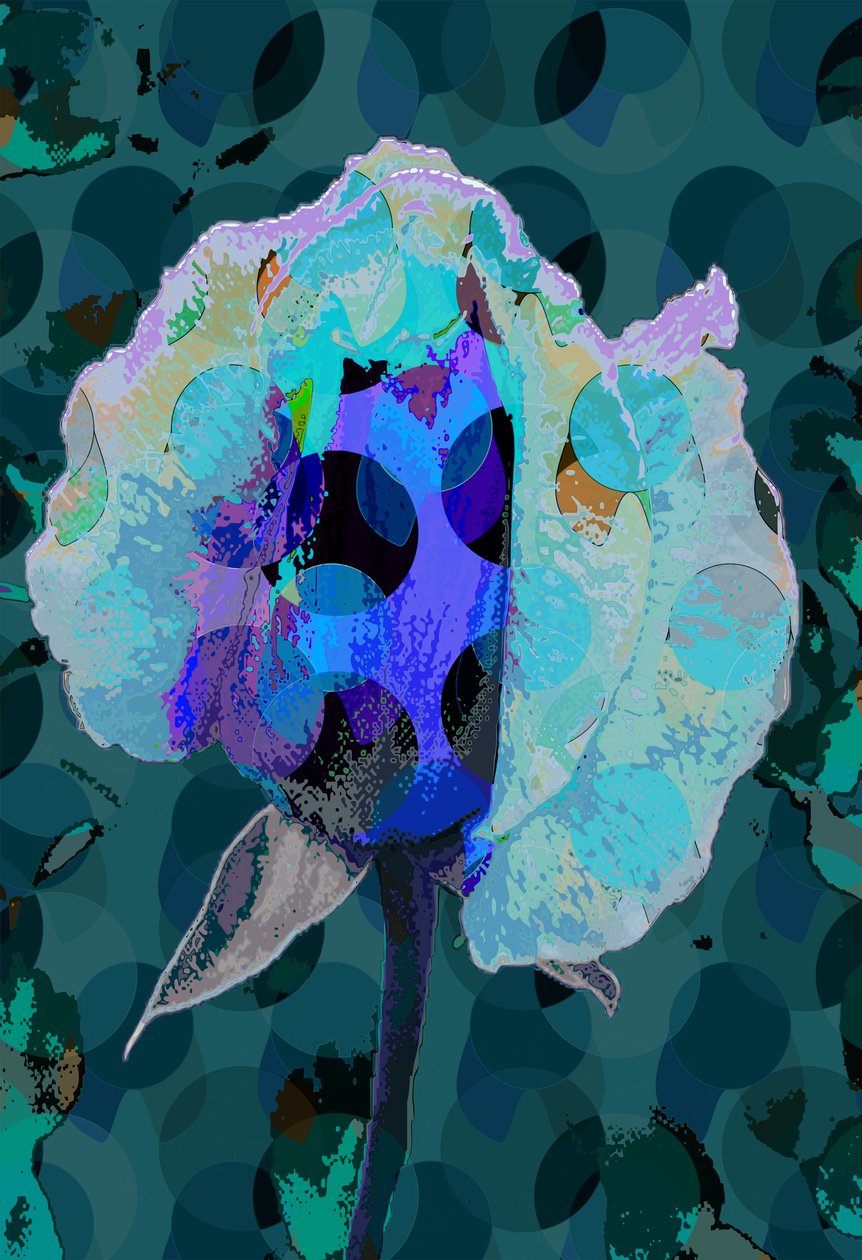 Tea Rose 5B (digital) 作者 斯科特·戴维斯（Scott J.Davis）
