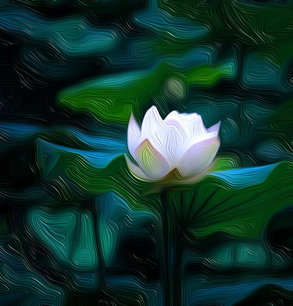 White Lily 作者 斯科特·戴维斯（Scott J.Davis）