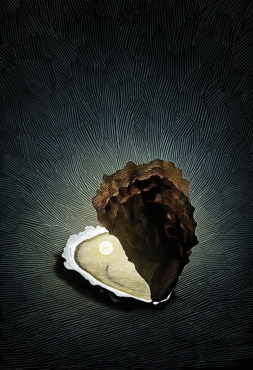  作者 