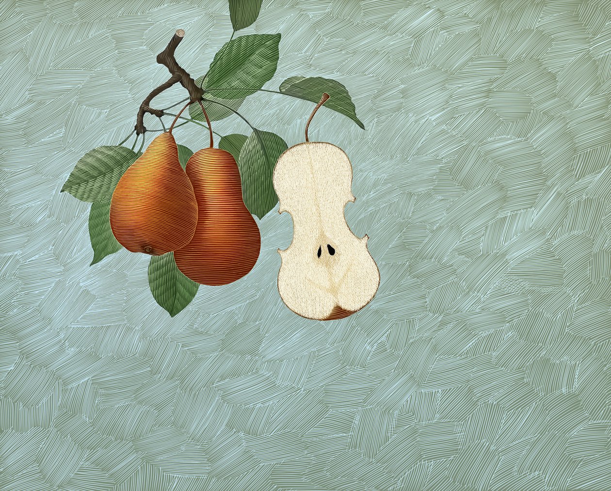 Pyris Stradivarius，2016 年（刮画板，数字上色） 作者 