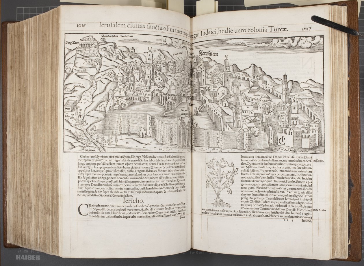 Cosmographia，Fol 1016-1017,1544 作者 塞巴斯蒂安·芒斯特（Sebastian Munster）