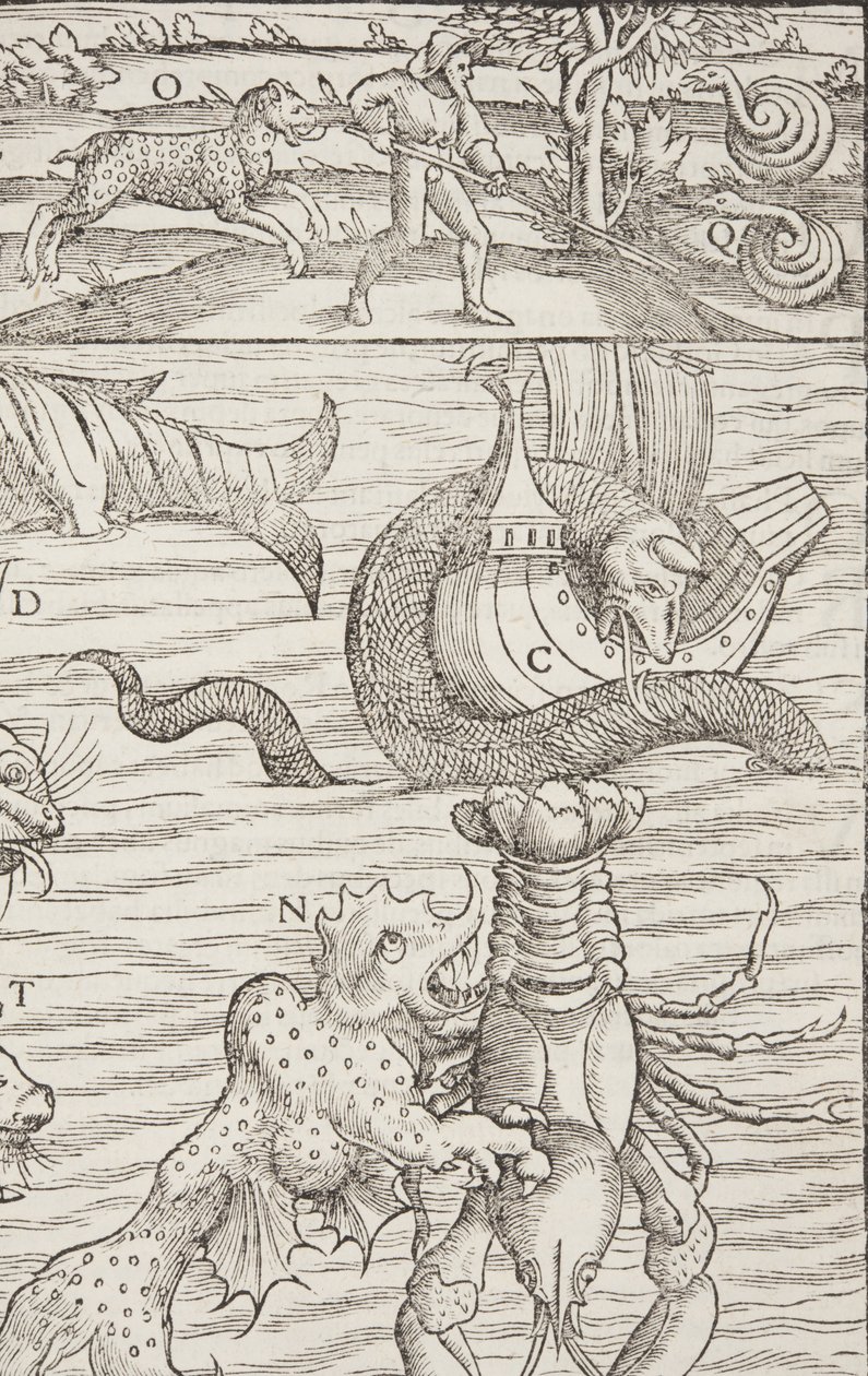 Cosmographia，Fol 853,1544 作者 塞巴斯蒂安·芒斯特（Sebastian Munster）