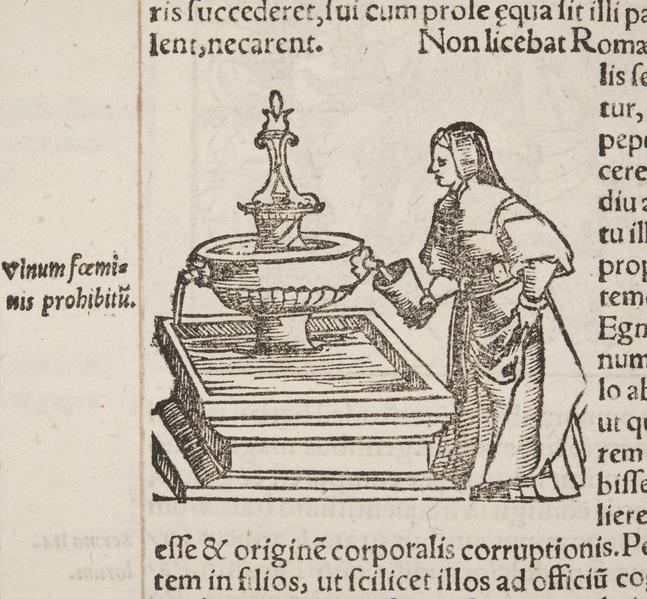 Cosmographia，Fol 202 的细节 作者 塞巴斯蒂安·芒斯特（Sebastian Munster）