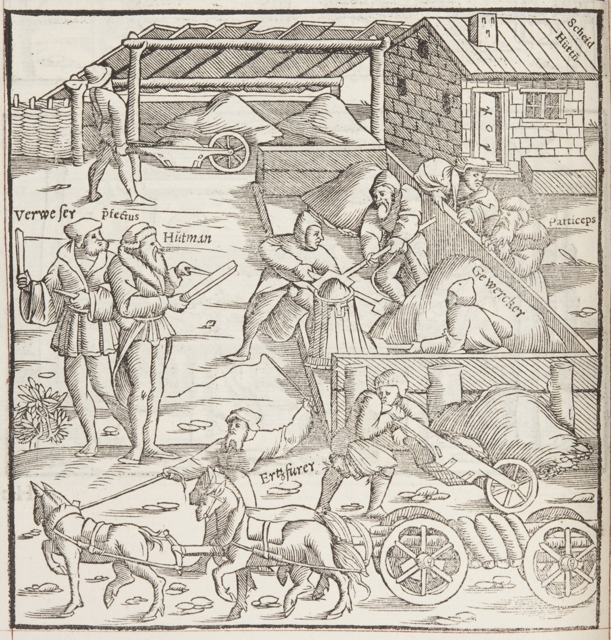 Cosmographia，Fol 436 的细节（雕刻） 作者 塞巴斯蒂安·芒斯特（Sebastian Munster）