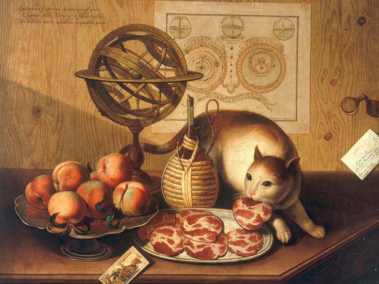 静物与猫 作者 塞巴斯蒂亚诺·拉扎里（Sebastiano Lazzari）