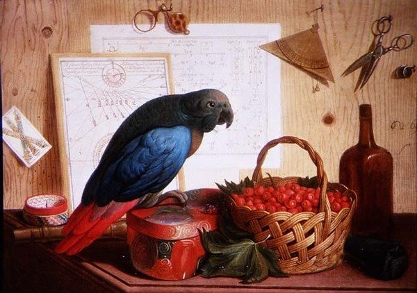 草莓和鹦鹉静物的变形画 作者 塞巴斯蒂亚诺·拉扎里（Sebastiano Lazzari）