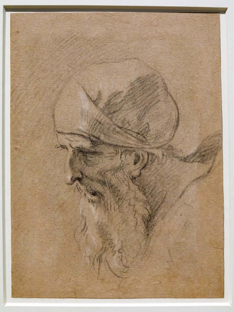 一个老人的头 作者 塞巴斯蒂亚诺·里奇（Sebastiano Ricci）
