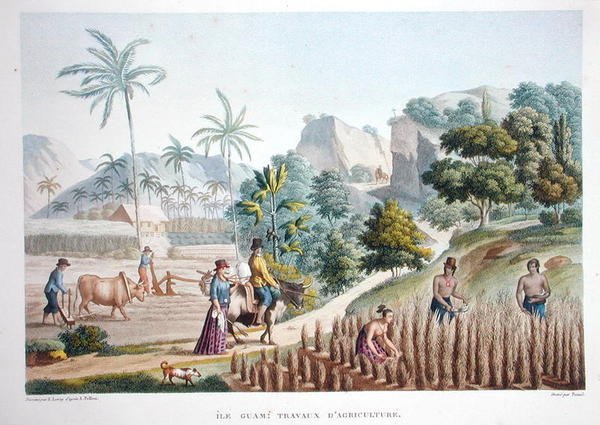 菲律宾关岛的农场工人，摘自路易斯-克劳德-德索斯-德-菲辛纳（1779-1842）的《世界之旅（1817-20）》，由波梅尔雕刻，1822-24年出版（彩色平印）。 作者 塞巴斯蒂安（卒于 1832 年）（后）勒罗伊