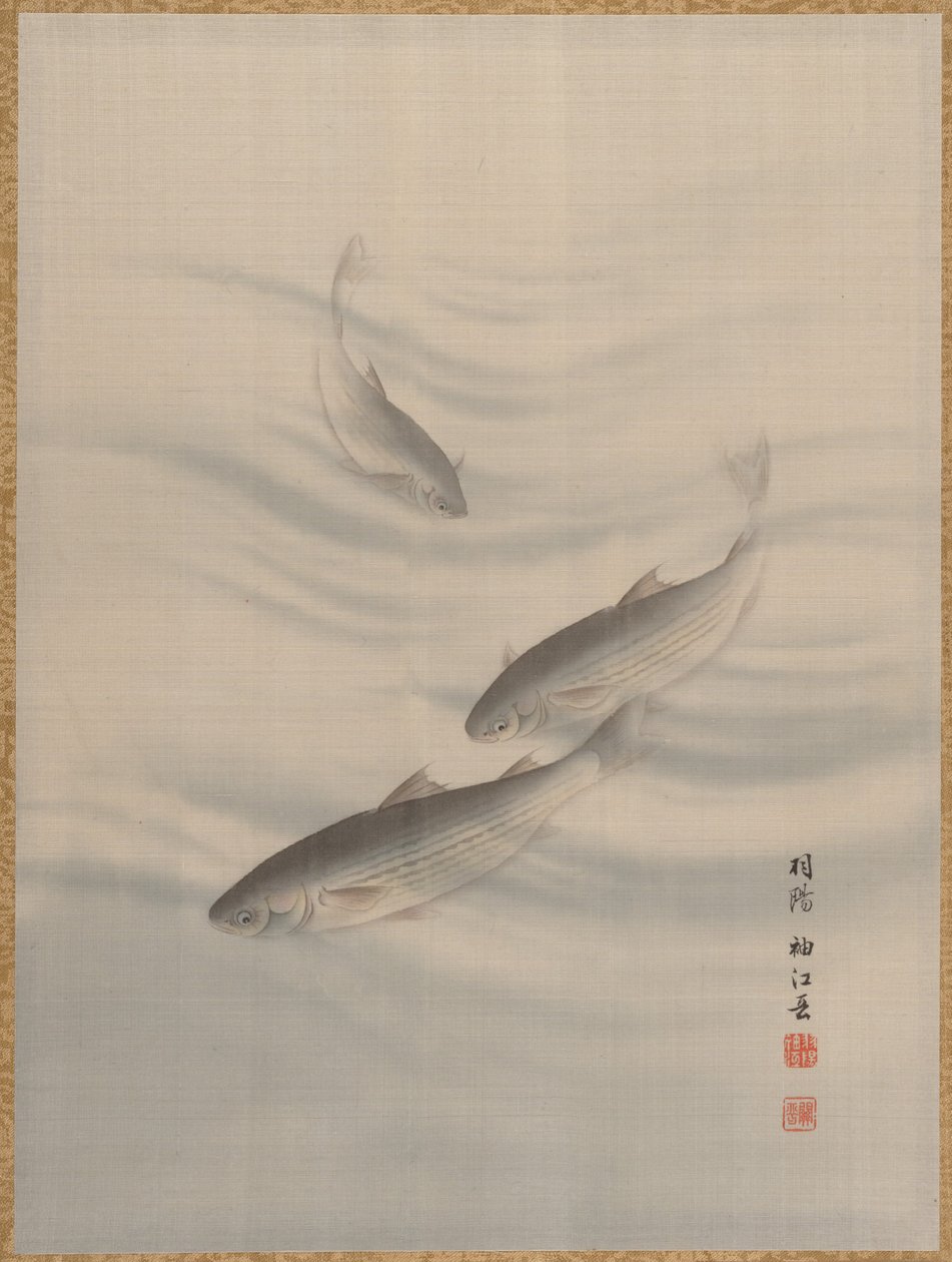 鱼类游泳，约1890-92年。 作者 关修子