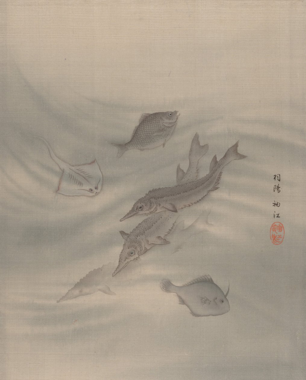 鱼类，约1890-92。 作者 关修子