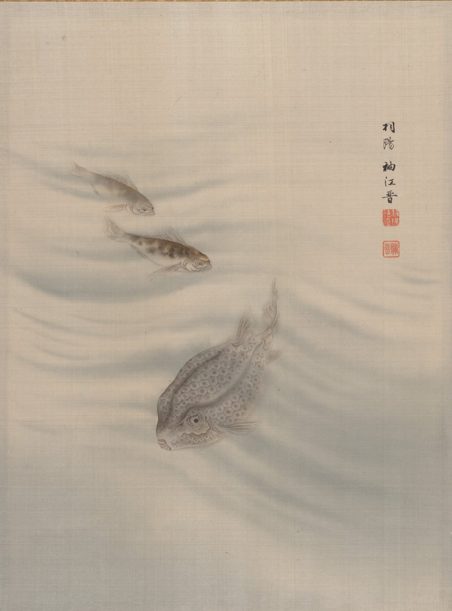 鱼类，约1890-92。 作者 关修子
