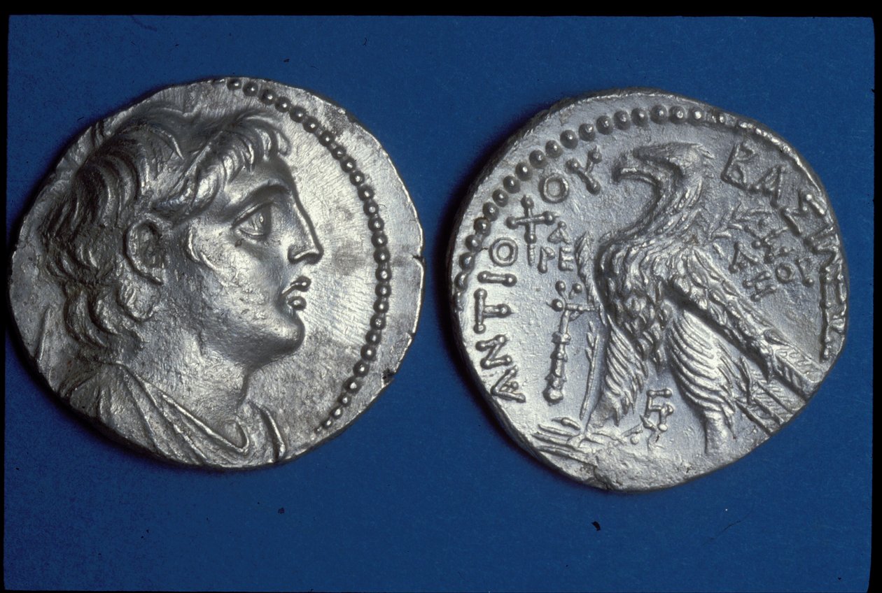 Antiochus VII Sidetes的硬币，公元前135  -  136年（金属） 作者 硒酸