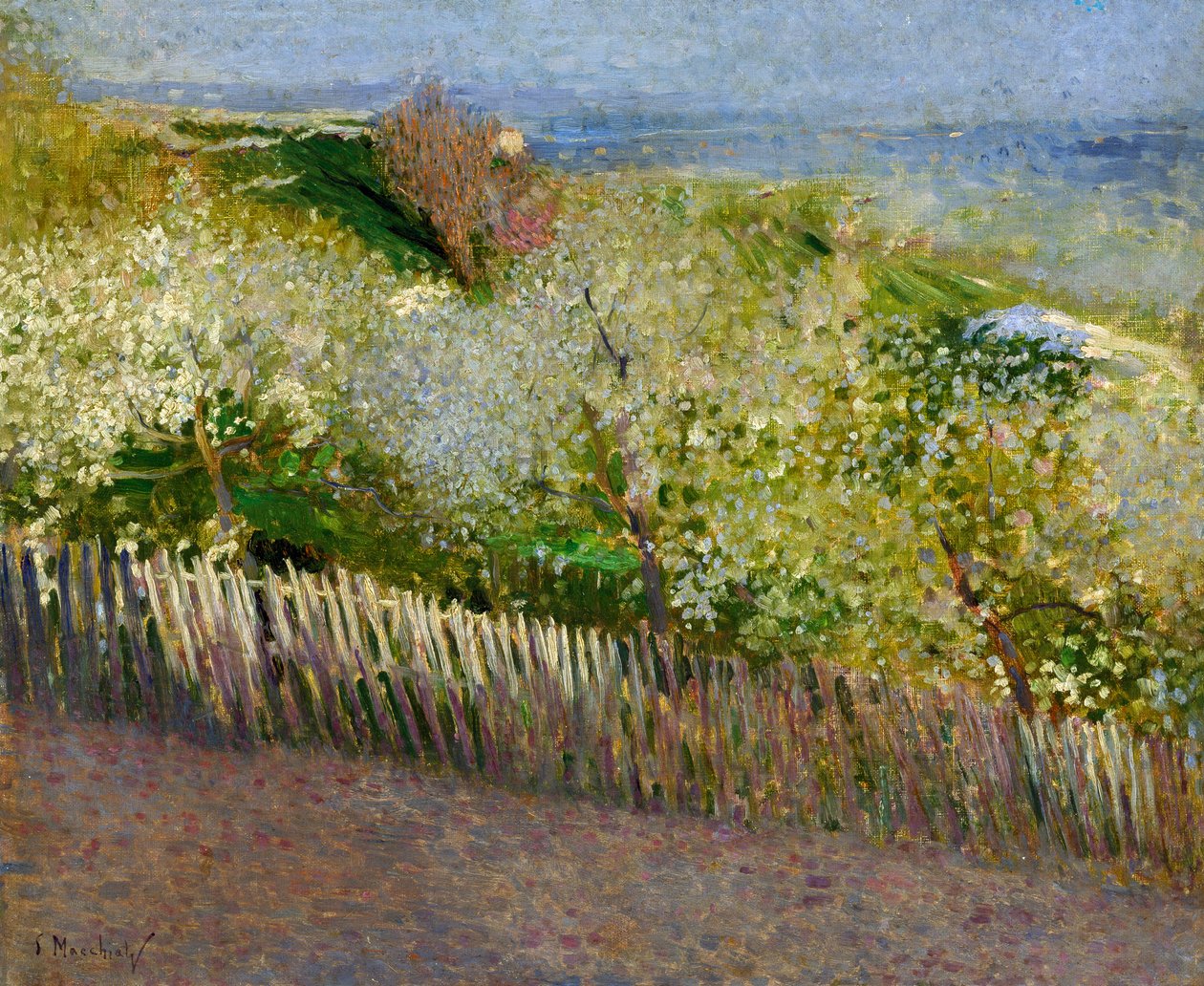 风景，作者：塞拉菲诺·玛奇蒂（1860-1916） 作者 塞拉菲诺·马基亚蒂（Serafino Macchiati）