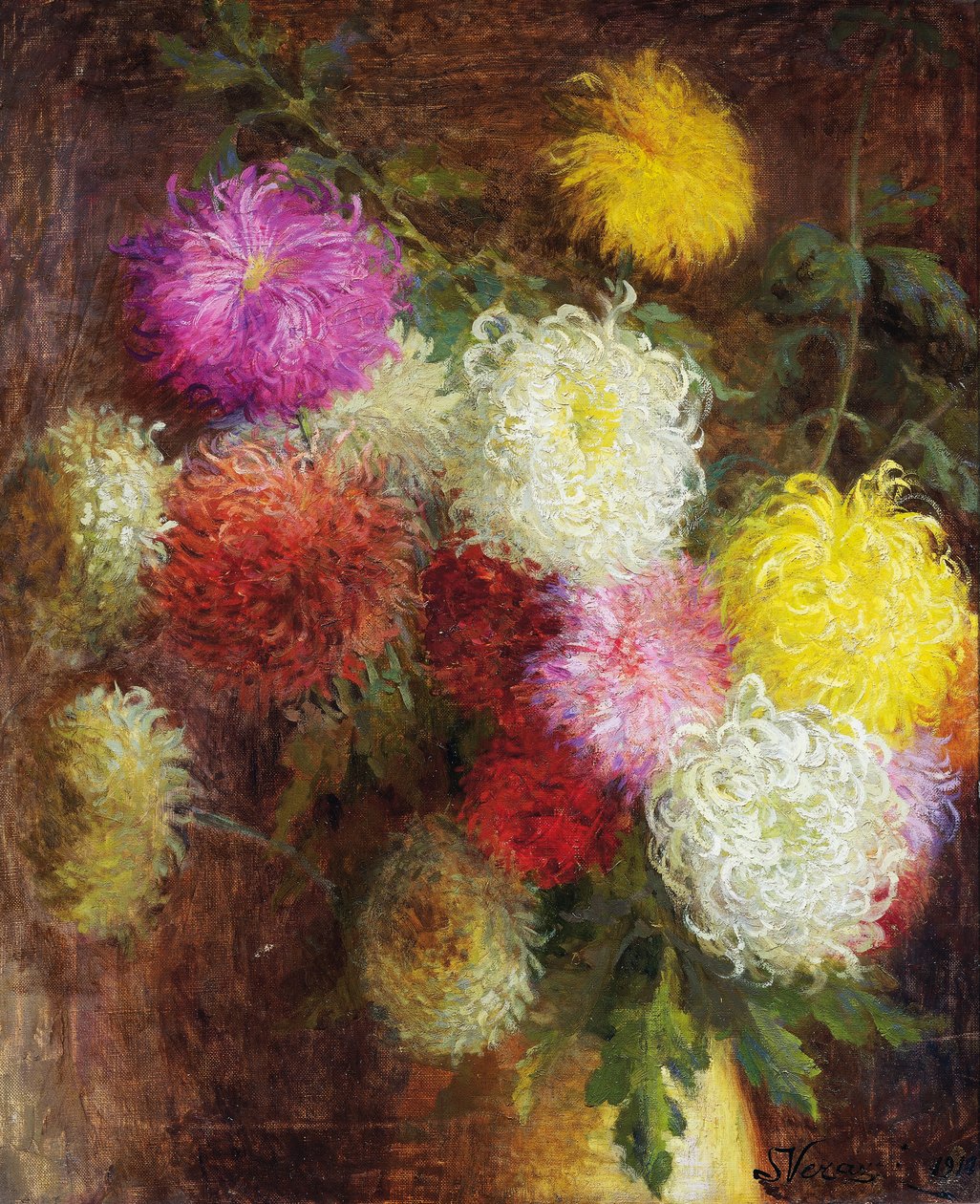 菊花 作者 塞拉菲诺·维拉齐