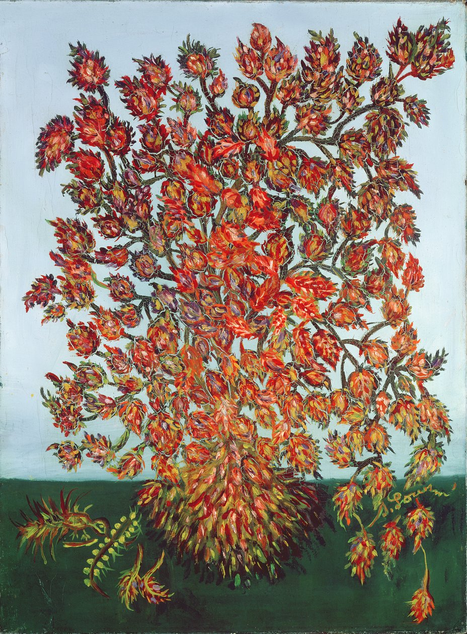 一棵植物的梦想 作者 Seraphine de Senlis