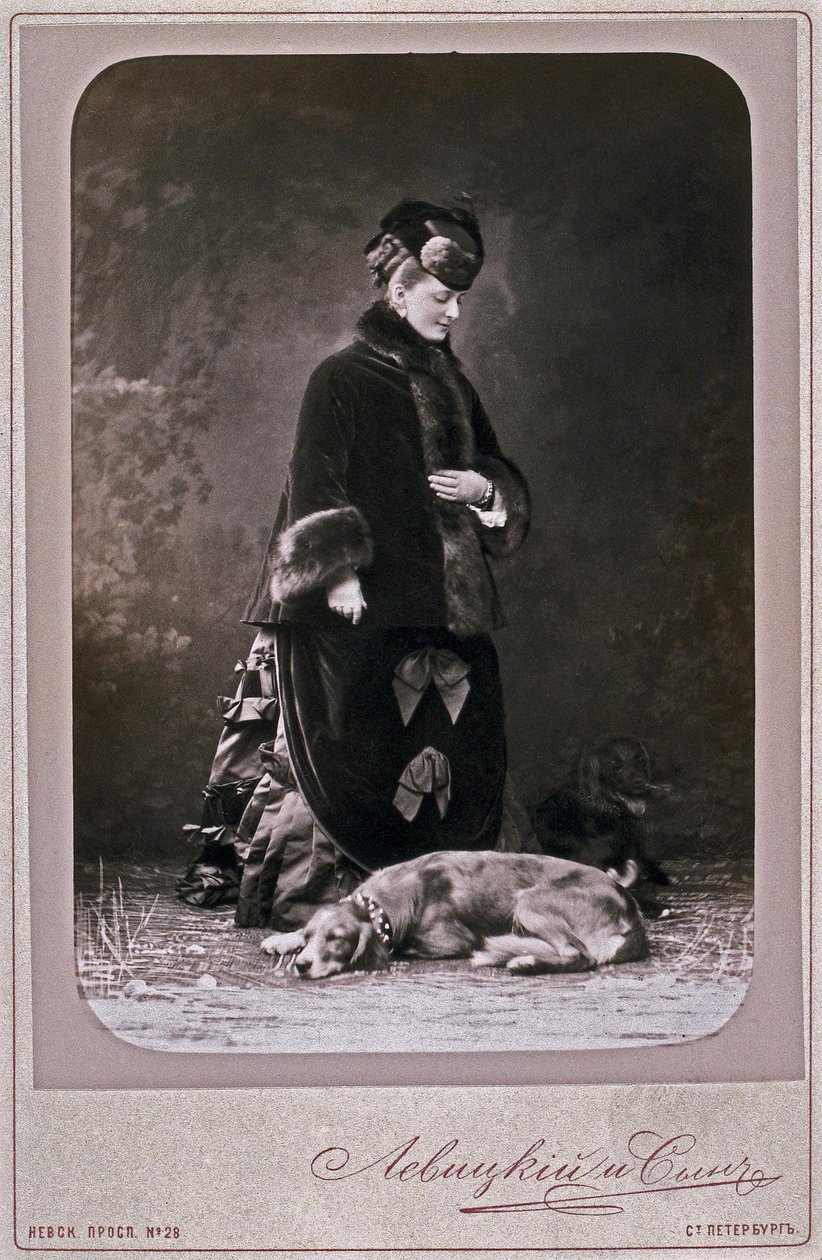叶卡捷琳娜公主（Mikhailovna Dolgorukova）1847-1922年，1870年代 作者 谢尔盖（Sergei Lvovich Levitsky）