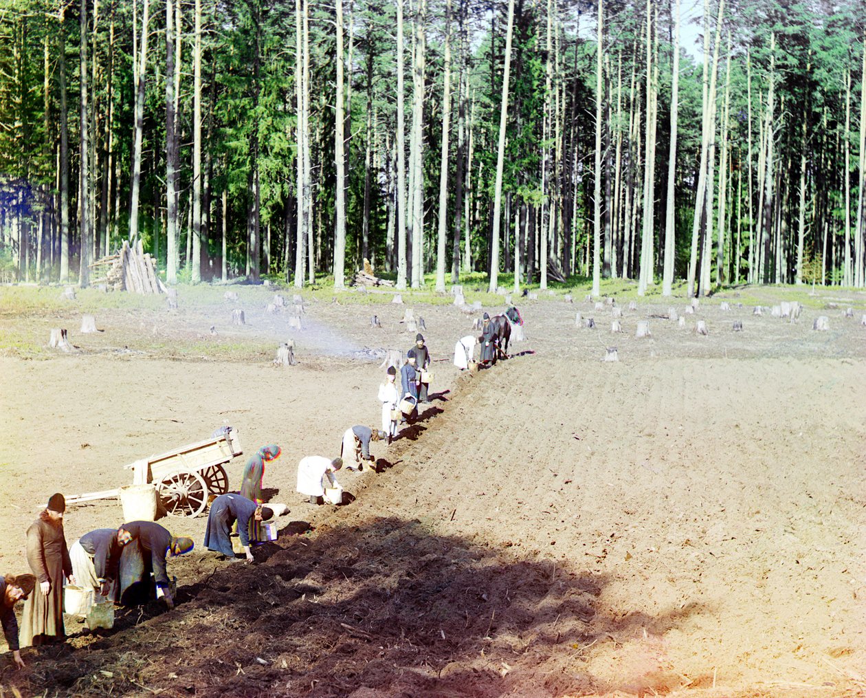1910年，俄罗斯帝国伏尔加河的客西马尼修道院附近种植土豆的僧侣 作者 谢尔盖·普罗库丁·高斯基