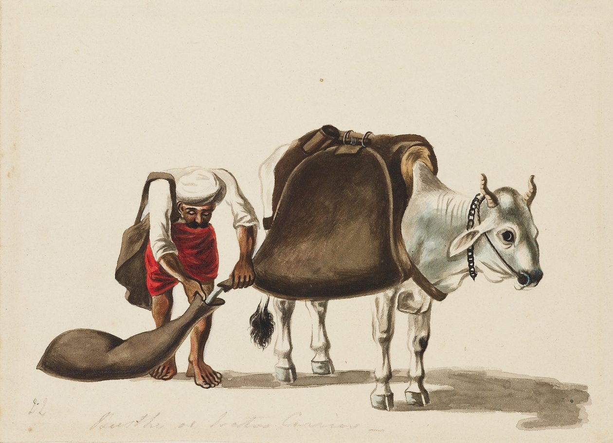 运水车，约1810年 作者 塞瓦克·拉姆（Sewak Ram）