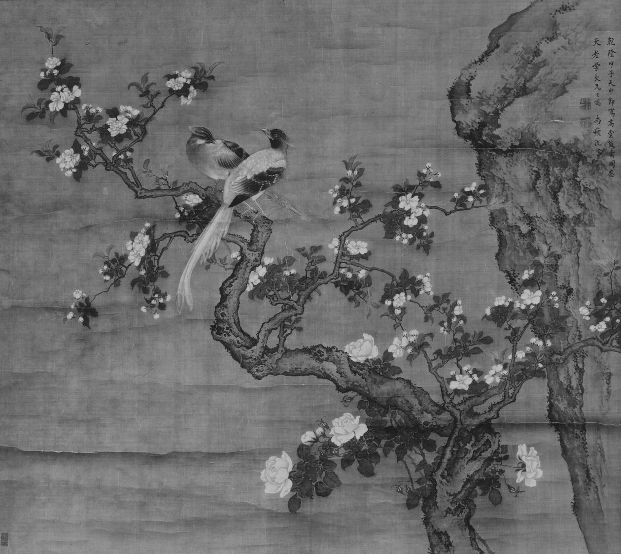 开花的蟹爪兰和一对鸟，日期为1744年。 作者 沉南品