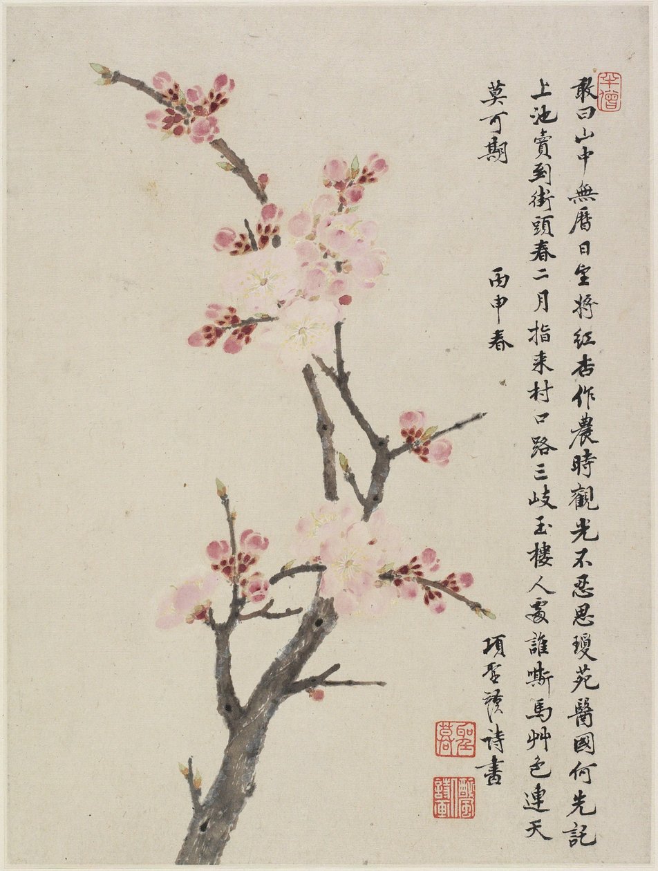 十叶的专辑，1656（纸上的墨水和颜色） 作者 圣摩乡