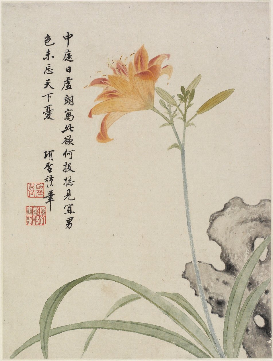 十六叶花相册中的黄花菜，1656年（纸上油墨和颜色） 作者 圣摩乡