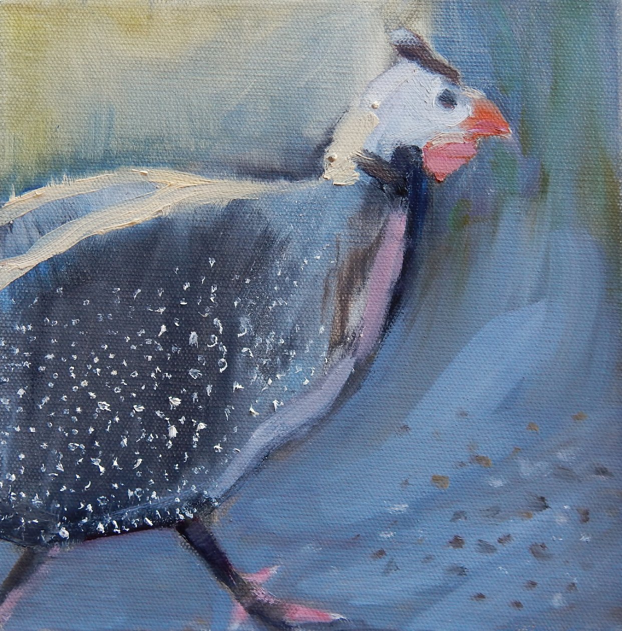 Guinea Fowl Four, 2014 作者 谢里吉