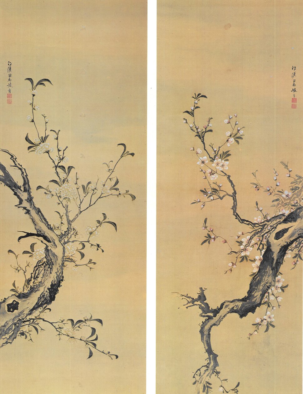 ShibaKôkan树枝 作者 芝港官