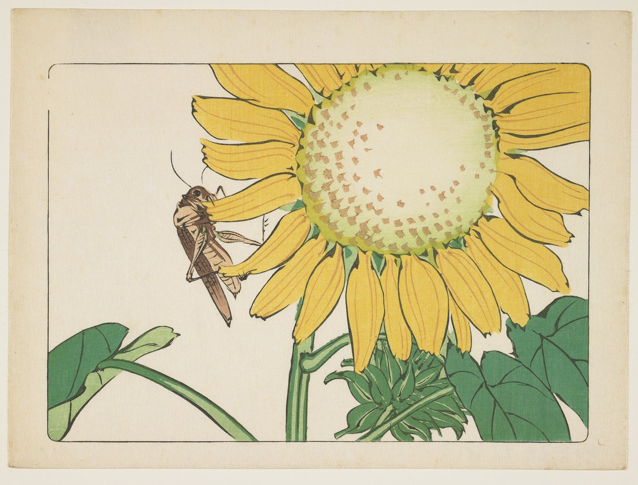 （蚱蜢和向日葵），c。 1877年 作者 Shibata Zeshin