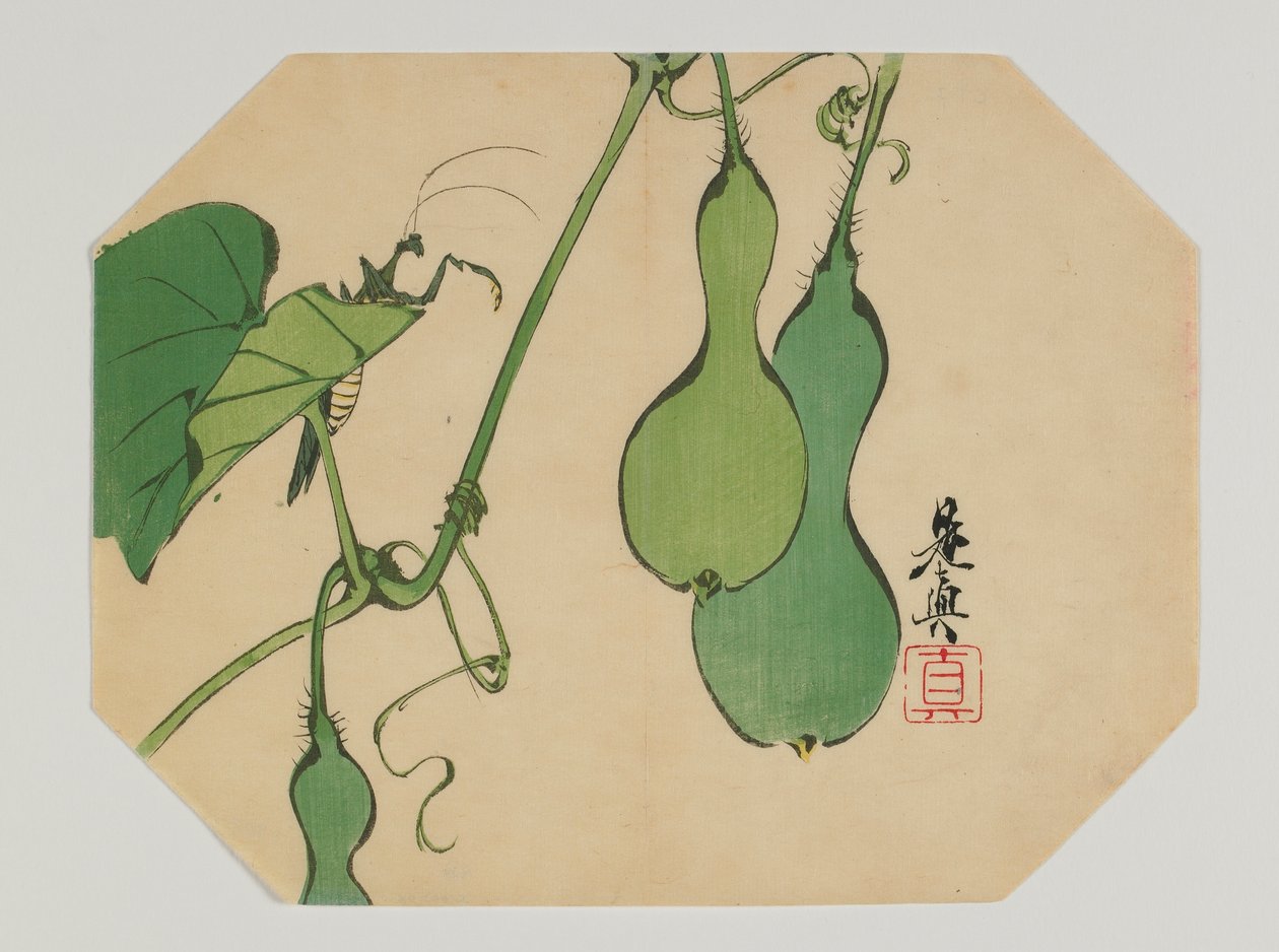在明治时代，明治时代，19世纪末（彩色木版画）打印螳螂和螳螂藤上的葫芦 作者 Shibata Zeshin