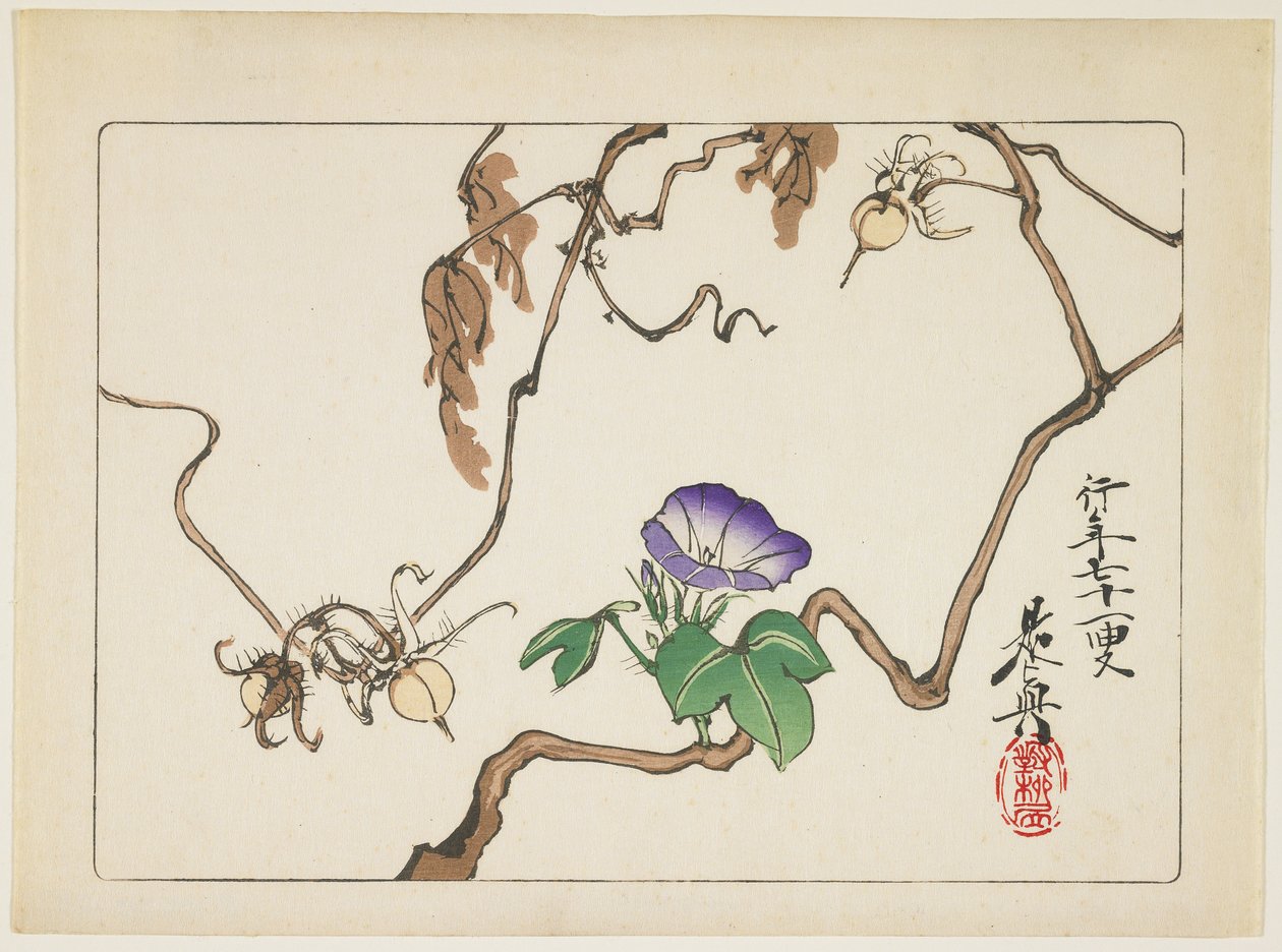 藤和藤的种子，1877年 作者 Shibata Zeshin