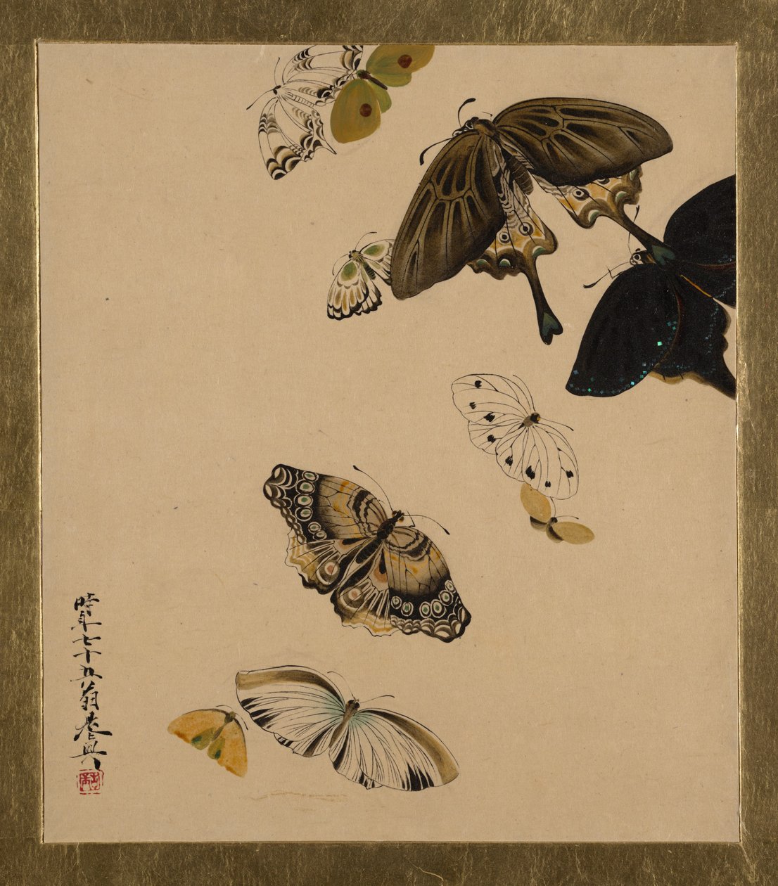 各种题材的漆画：蝴蝶，作于1881年。 作者 Shibata Zeshin