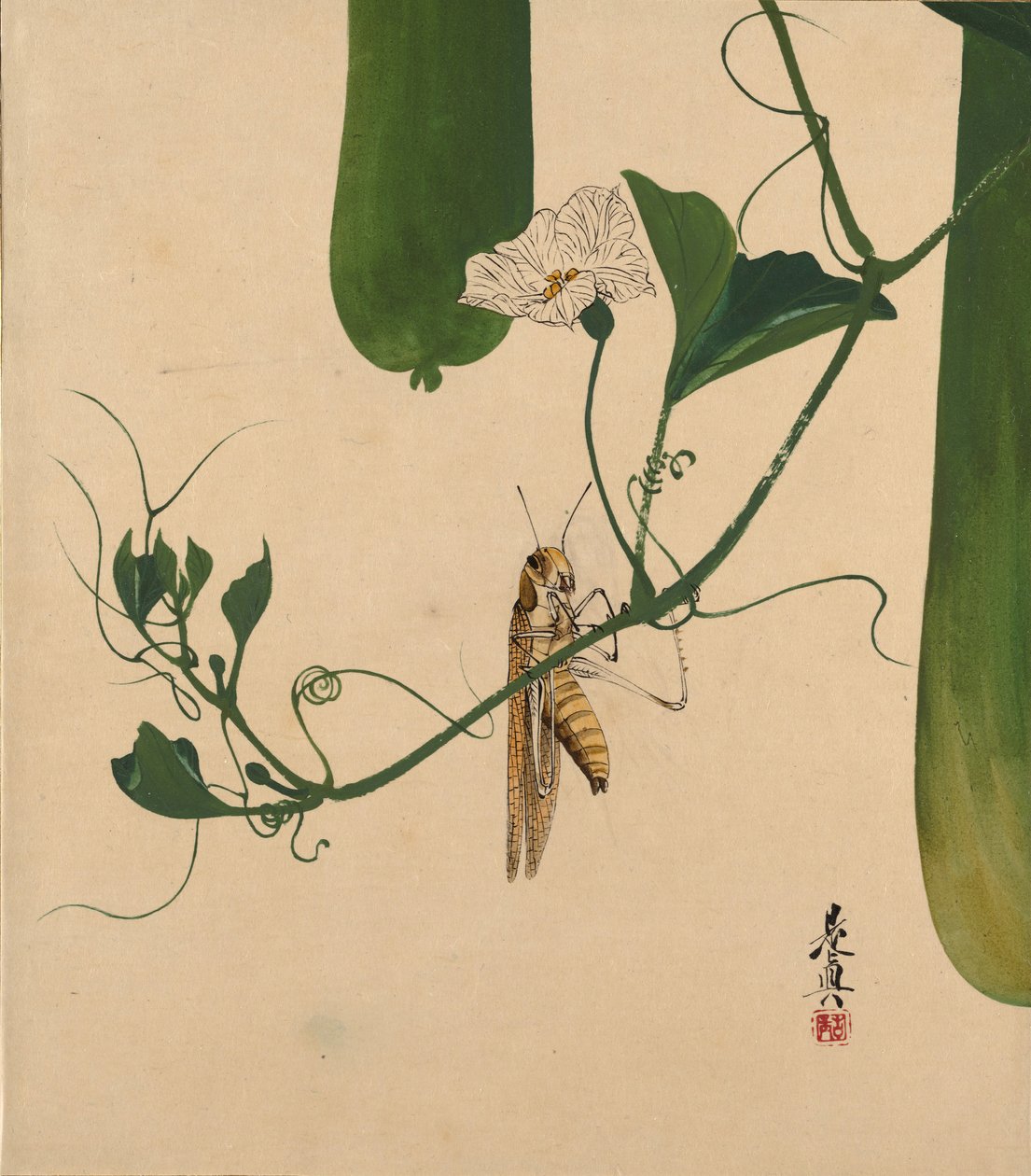 各种题材的漆画：葫芦藤上的蚱hopper，1882年。 作者 Shibata Zeshin
