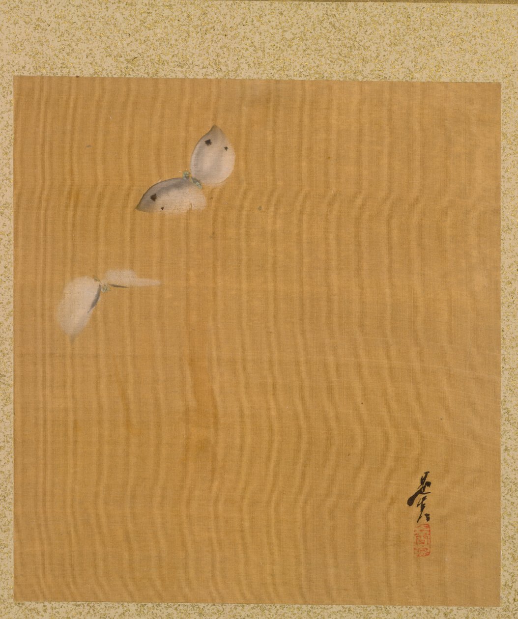 泽信法师画册中的飞蛾 作者 Shibata Zeshin