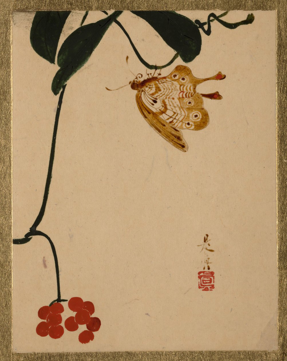红色浆果植物和蝴蝶。 作者 Shibata Zeshin