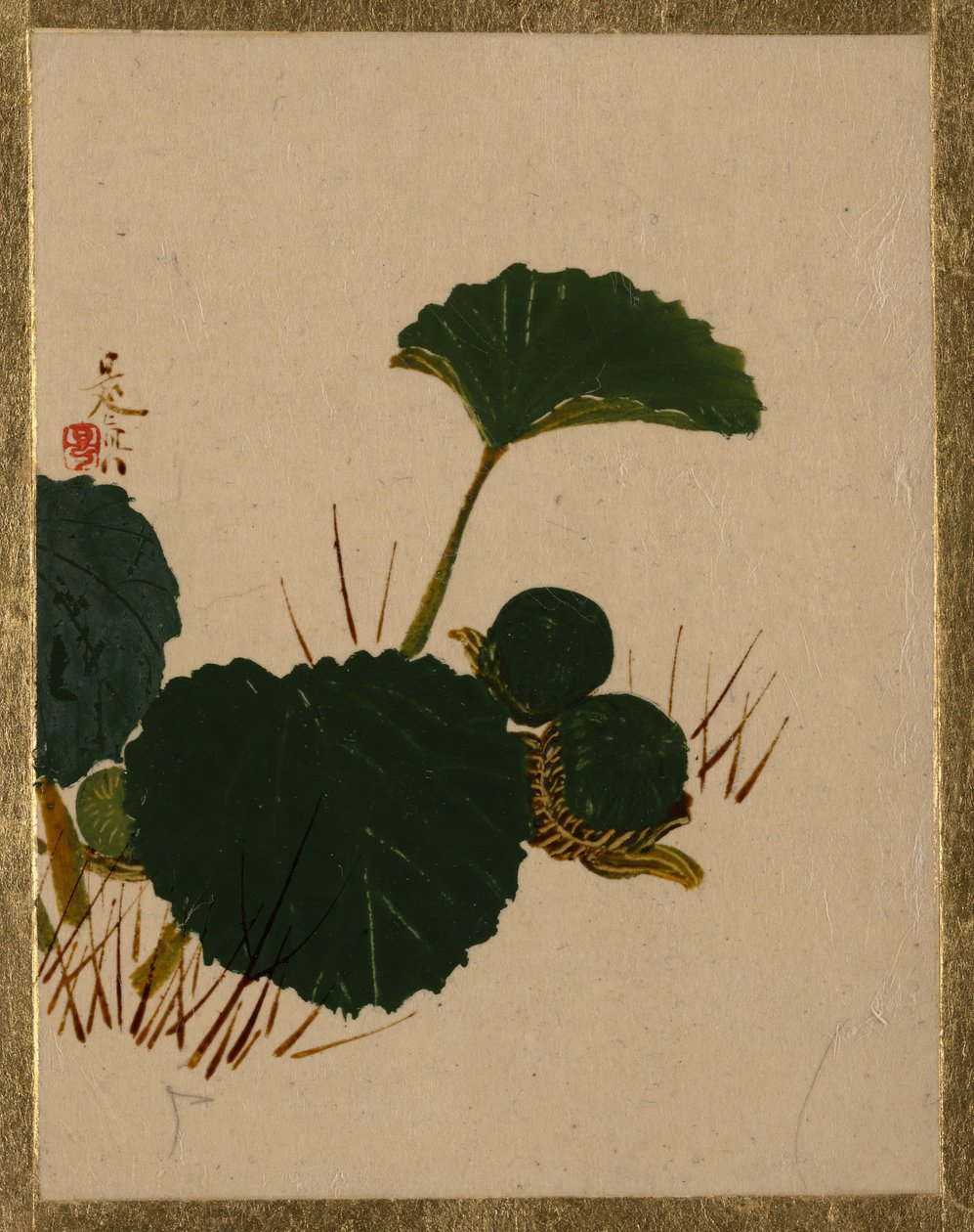 绿叶植物上的虫子。 作者 Shibata Zeshin
