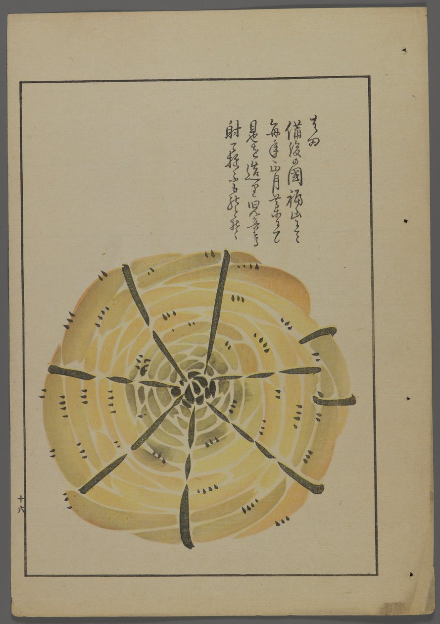 日本玩具，来自Shimizu Seifu，1891-1923的Unai no tomo（A Childs Friends）。绳轮风车。 作者 清水清风