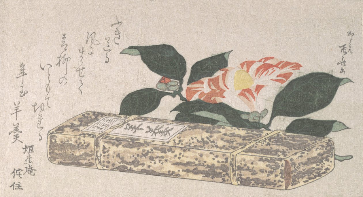 山茶花和Yokan（一种用竹皮包裹的豆子冻），1811年。 作者 心斋