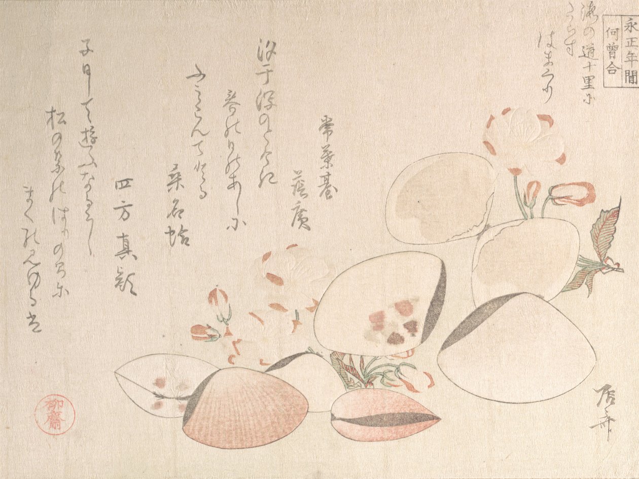 Cherry Blossoms and Shells, 19th century. 作者 心斋