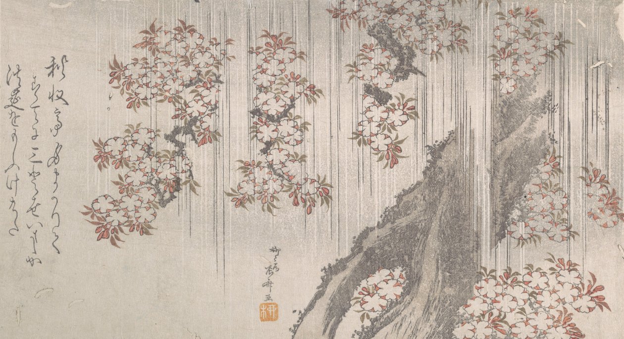 雨中的樱花，19世纪。, 19世纪。 作者 心斋