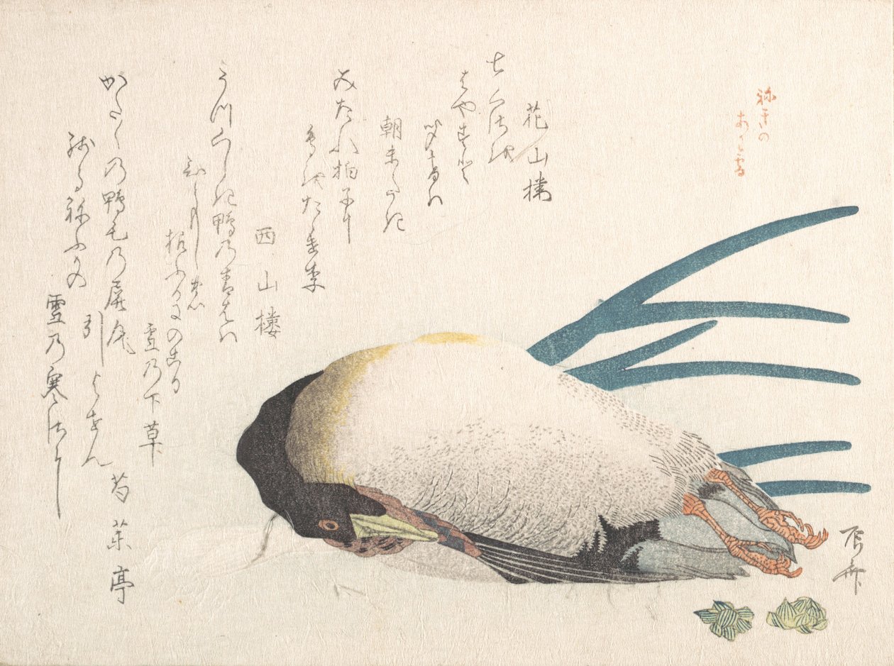 春雨集Harusame shu，第一卷：鸭子和葱，1810年代，1810年代。 作者 心斋