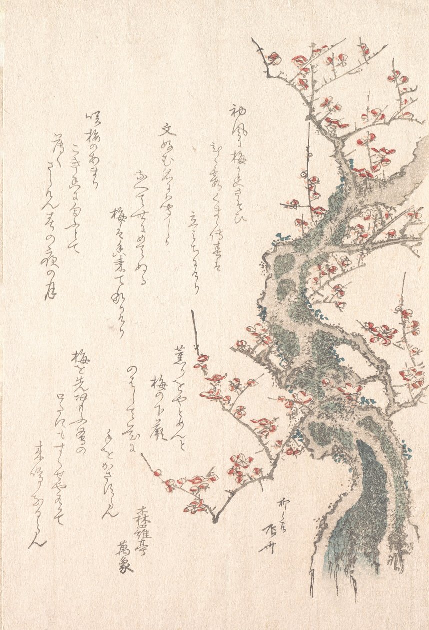 春雨集Harusame shu, vol. 1: Plum Tree in Bloom, ca. 1805-10., ca. 1805-10. 作者 心斋