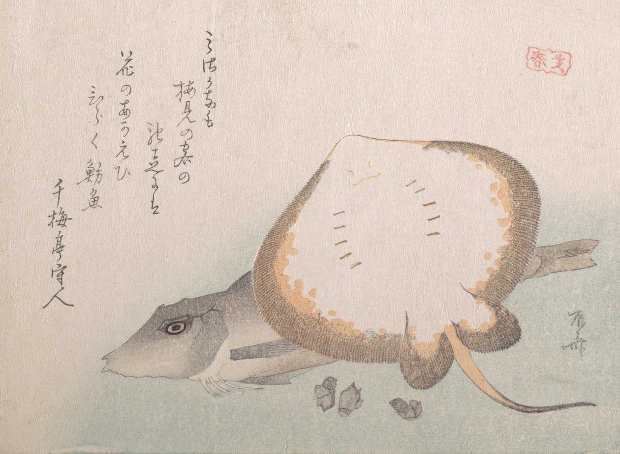 Stingray and Gurnard, probably 1815., probably 1815. 作者 心斋